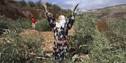 Día de la Tierra Palestina, patria donde la colonización israelí ha arrancado 800.000 olivos